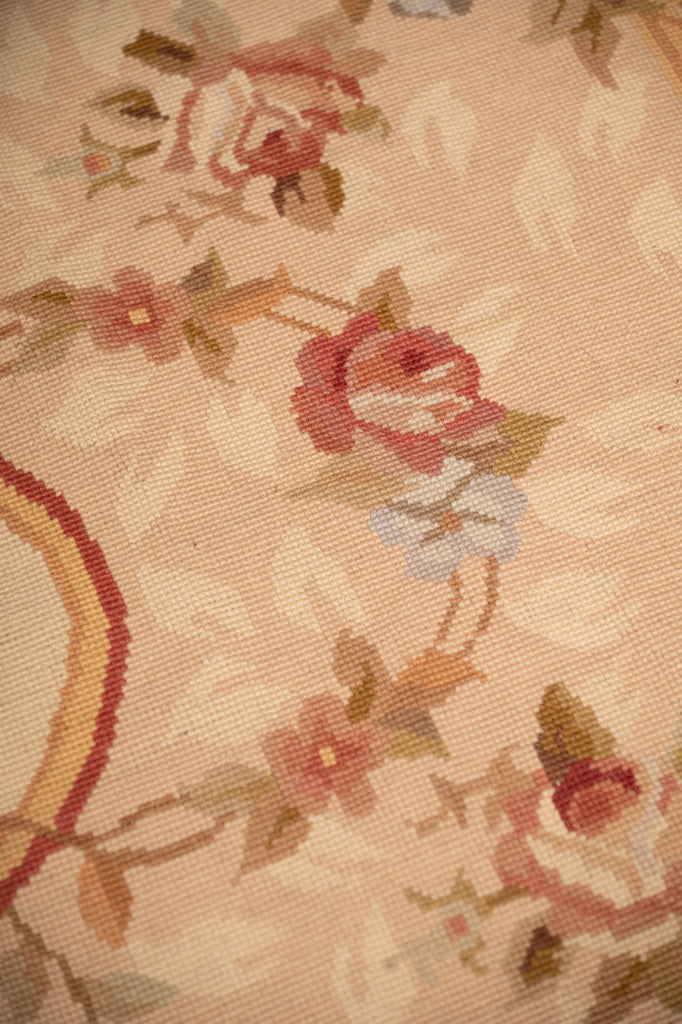 3.0 x 5.0 French Aubusson Needle Point Rug #F-4007