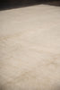 Load image into Gallery viewer, 10.2 x 13.9 Natural beige Soft Pale Color Chobi Peshawar Rug #F-5750
