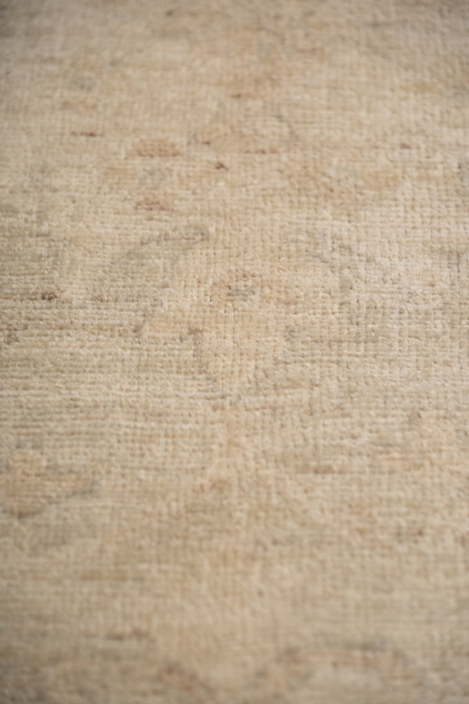 10.2 x 13.9 Natural beige Soft Pale Color Chobi Peshawar Rug #F-5750