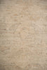 Load image into Gallery viewer, 10.2 x 13.9 Natural beige Soft Pale Color Chobi Peshawar Rug #F-5750