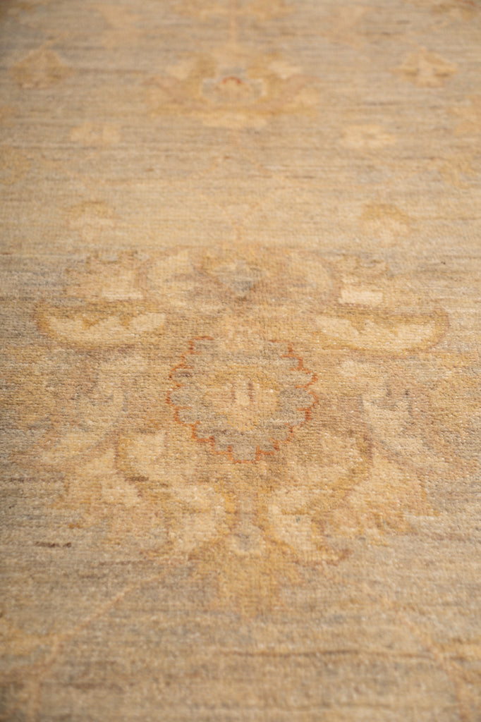 9.10 x 13.4 Sage Green Chobi Peshawar Rug #PIX-20335