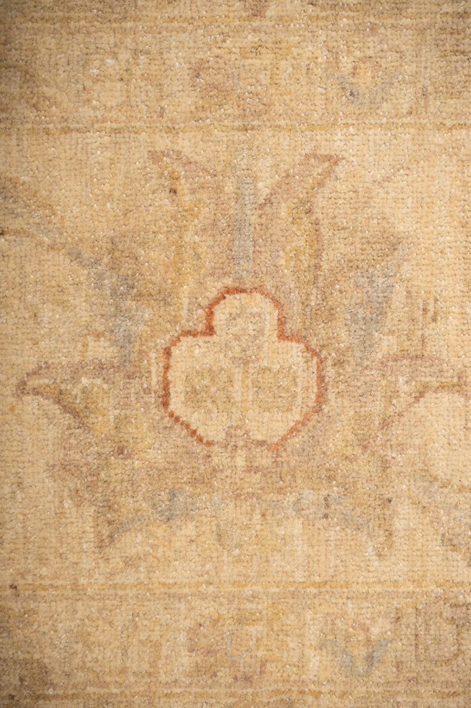 9.10 x 13.4 Sage Green Chobi Peshawar Rug #PIX-20335