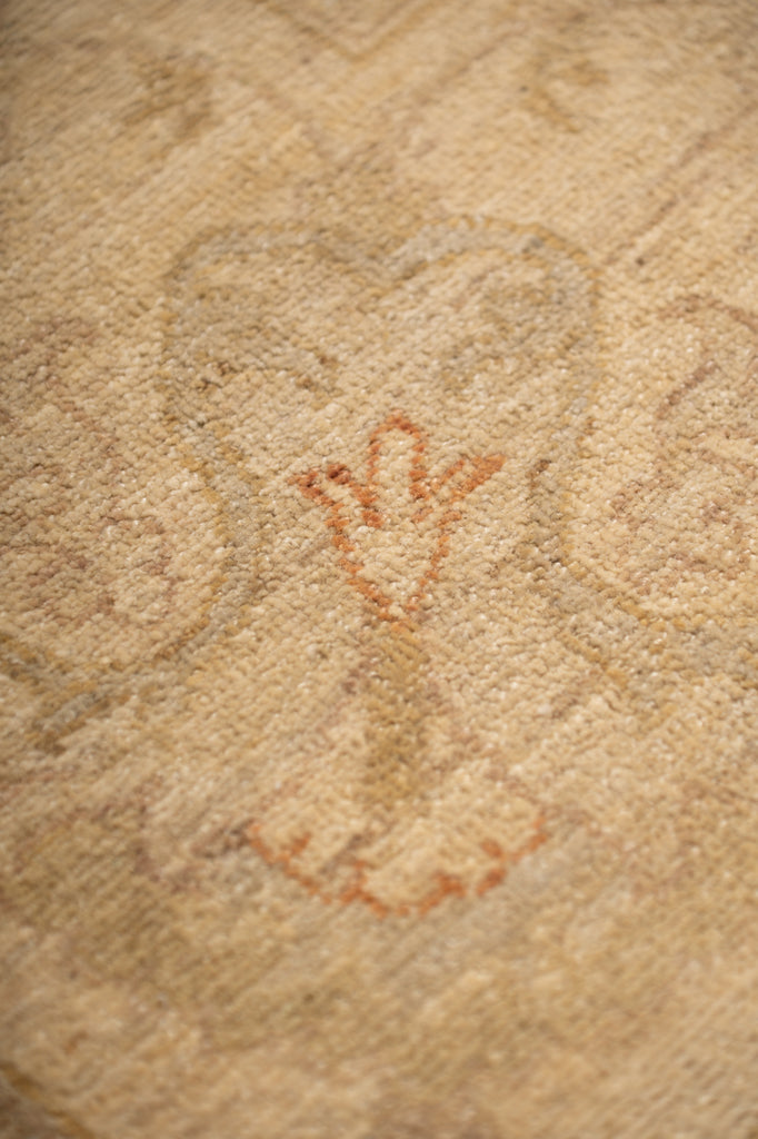 9.10 x 13.4 Sage Green Chobi Peshawar Rug #PIX-20335