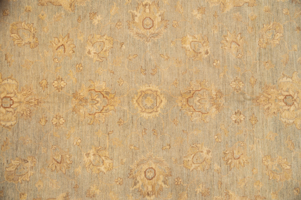 8 x 10 Light Sage Green Ziglar Chobi Peshawar Rugs #B-77474