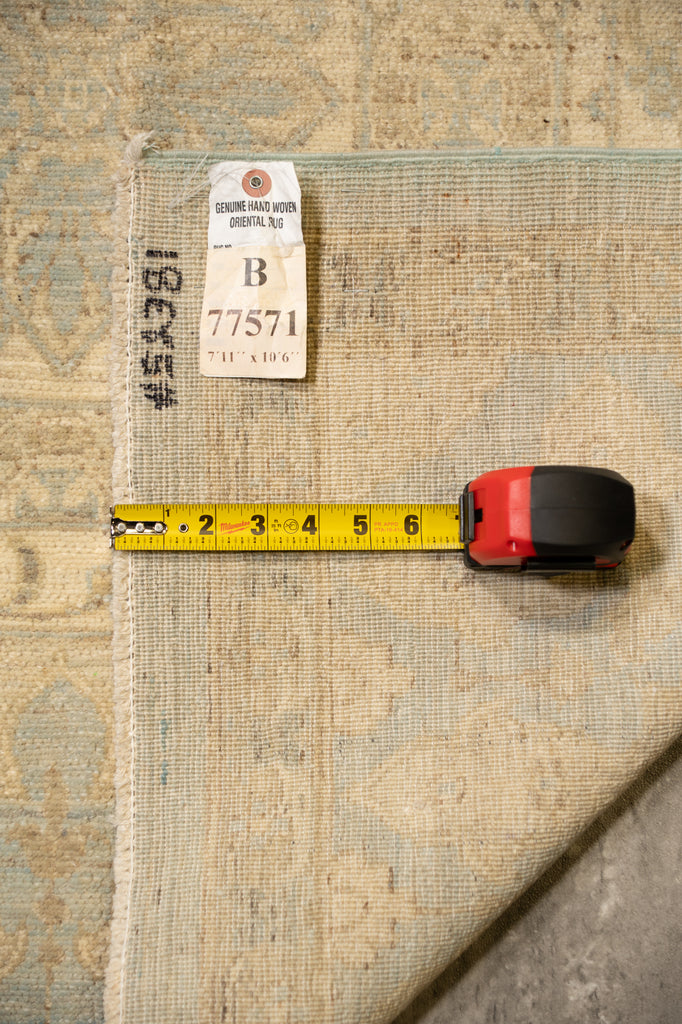 8 .0 x 10.6 New Handmade Ziglar Chobi Rug  Neutral Light Green  #B-77571