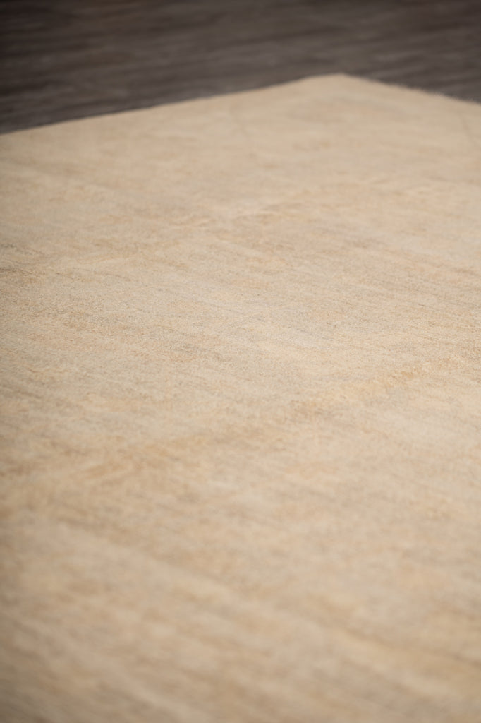 8 x 10 New Ziglar Rug Neutrals Colors Natural Wool  #B-77473