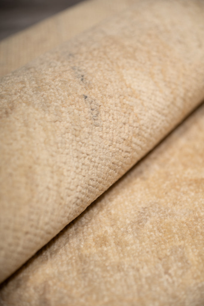 8 x 10 New Ziglar Rug Neutrals Colors Natural Wool  #B-77473