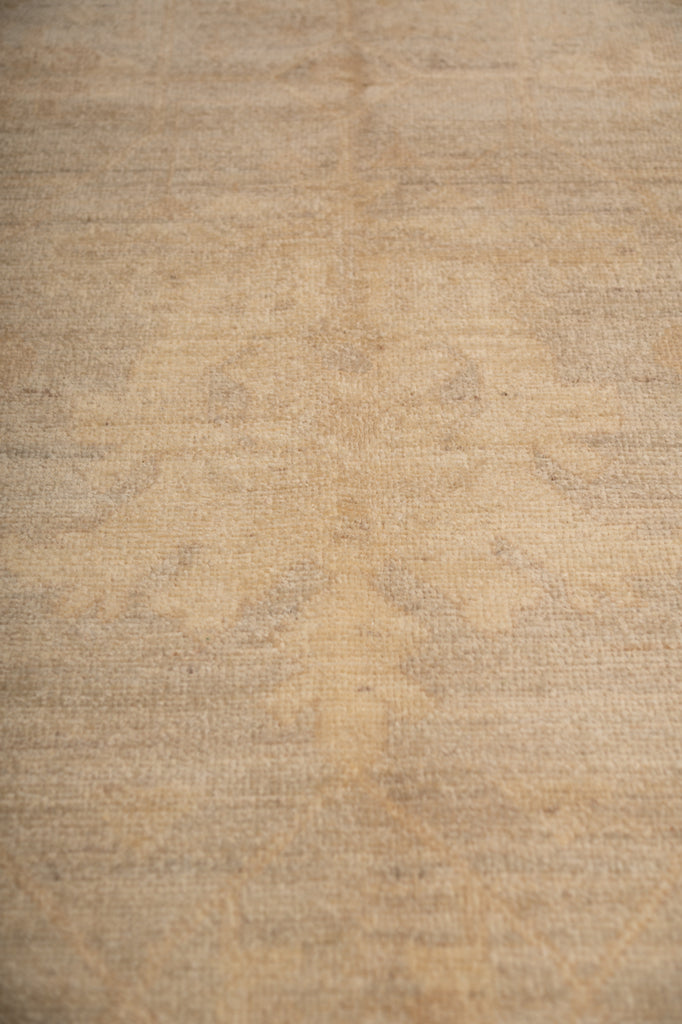 8 x 10 New Ziglar Rug Neutrals Colors Natural Wool  #B-77473