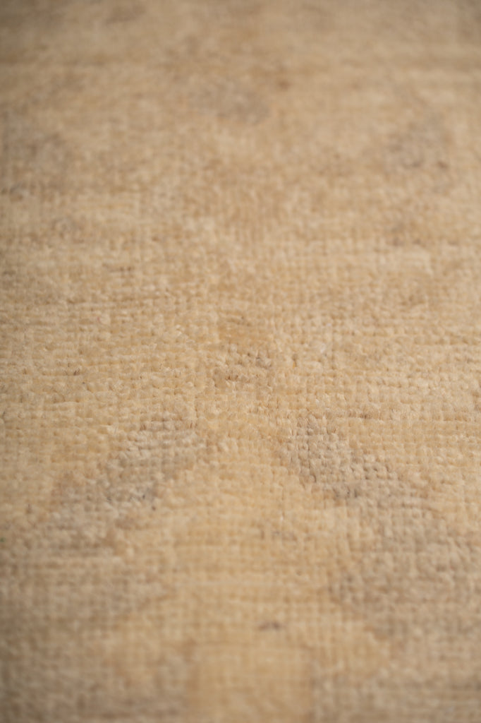 8 x 10 New Ziglar Rug Neutrals Colors Natural Wool  #B-77473