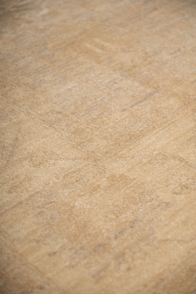 8 x 10 New Ziglar Rug Neutrals Colors Natural Wool  #B-77473