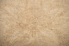 Load image into Gallery viewer, 8.0 x 9.9 New Chobi Peshawar rug Pastels Pale Neutral Natural  #PIX-25257