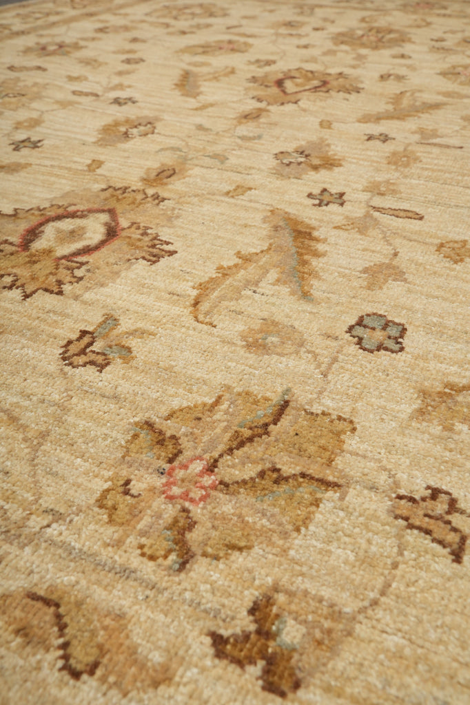 5 x 7 Ziegler Chobi Peshawar Rug - Pakistan #PIX-20221