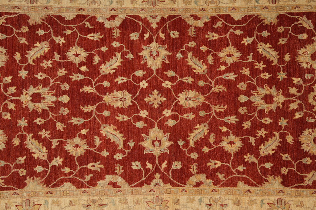 4.9 x 7.6 Warm Ziegler Chobi Peshawar Rug - Pakistan #PIX-20214