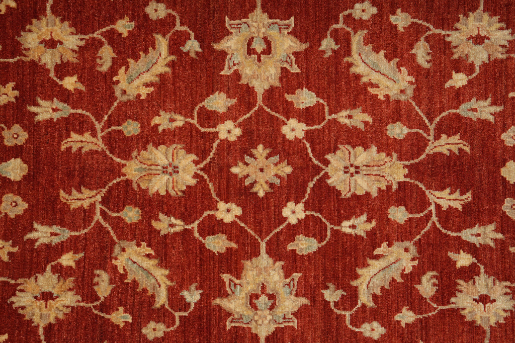 4.9 x 7.6 Warm Ziegler Chobi Peshawar Rug - Pakistan #PIX-20214