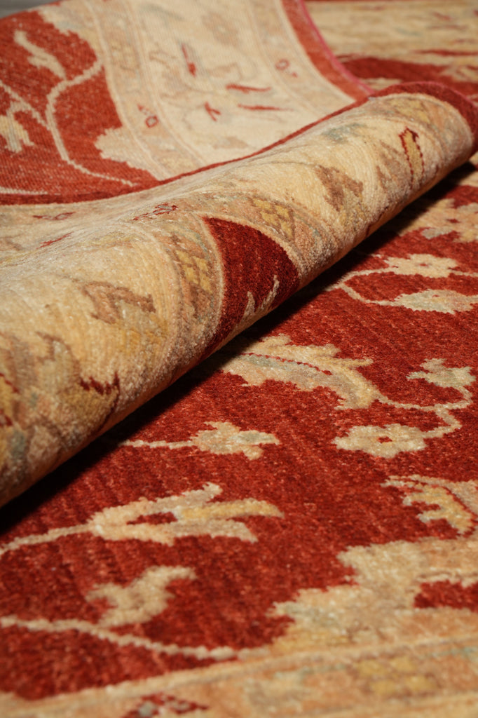 4.9 x 7.6 Warm Ziegler Chobi Peshawar Rug - Pakistan #PIX-20214
