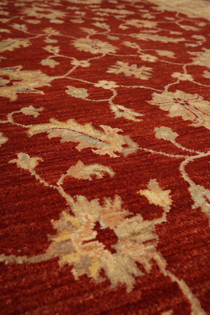 4.9 x 7.6 Warm Ziegler Chobi Peshawar Rug - Pakistan #PIX-20214