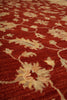 Load image into Gallery viewer, 4.9 x 7.6 Warm Ziegler Chobi Peshawar Rug - Pakistan #PIX-20214