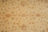 Load image into Gallery viewer, 5.5 x 7.9 Natural BROWN Wool Hand-Knotted Chobi Peshawar Rug - Pakistan#PIX-22295