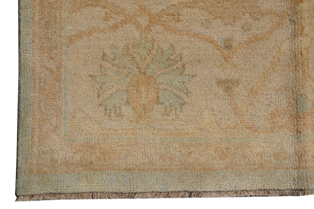 8.3 x 9.9 Chobi Peshawar Rug Warm Colors Light Blue Brown New Oushak #F-4378