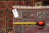 Load image into Gallery viewer, 8 x 9.9 Tribal Bakhtiar Horse Handmade Rug #F-4602