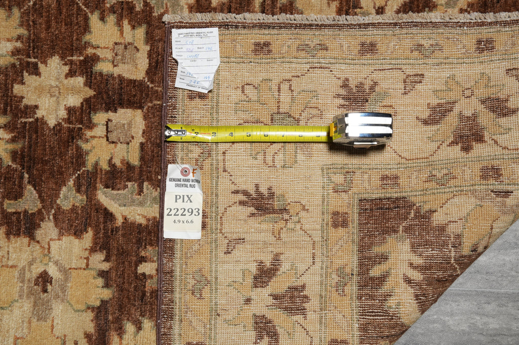 4.9 x 6.6 Warm Handmade Carpet Chobi Peshawar Ghazni Wool Transitional Rug - Pakistan #PIX-22293