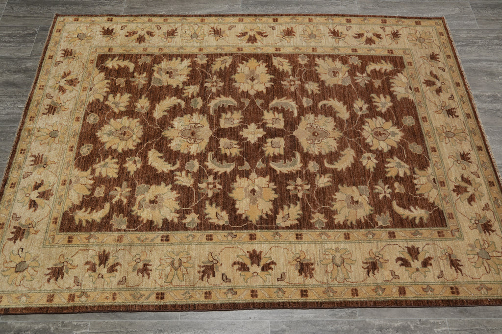 4.9 x 6.6 Warm Handmade Carpet Chobi Peshawar Ghazni Wool Transitional Rug - Pakistan #PIX-22293