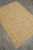 Load image into Gallery viewer, A rectangular beige area rug with a subtle traditional floral pattern, shown from an elevated angle on a gray wood-look floor.