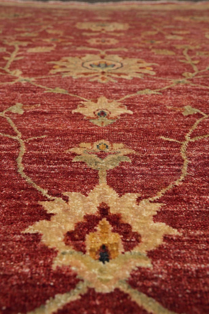 8.9 x 11.4 Quality Natural Ghazni Wool Chobi Peshawar Rug #PIX-804-94