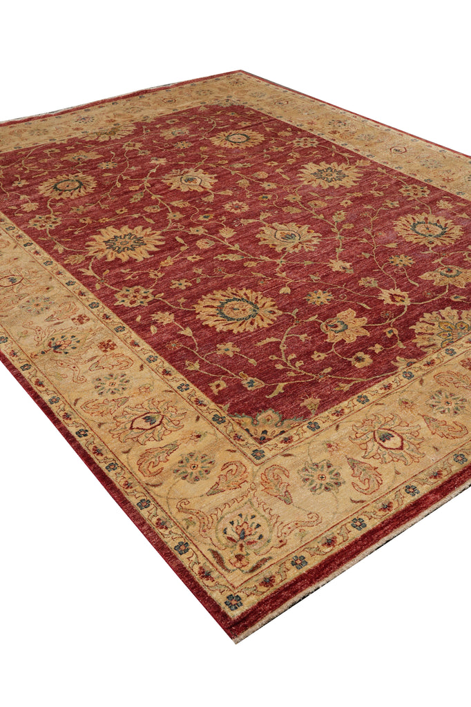 8.9 x 11.4 Quality Natural Ghazni Wool Chobi Peshawar Rug #PIX-804-94