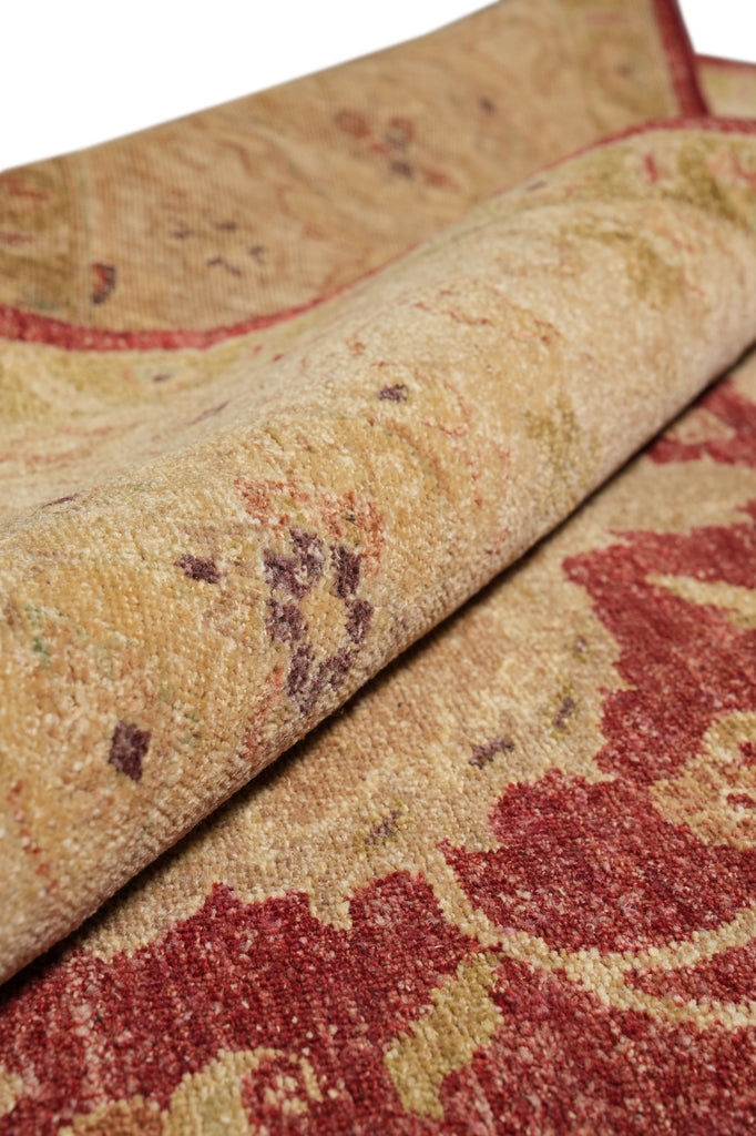 9 x 12 Natural Wool New Quality Handmade Agra Rug #PIX-804-91