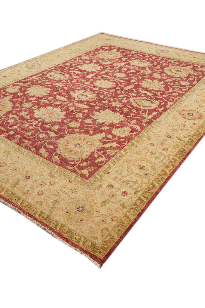 9 x 12 Natural Wool New Quality Handmade Agra Rug #PIX-804-91