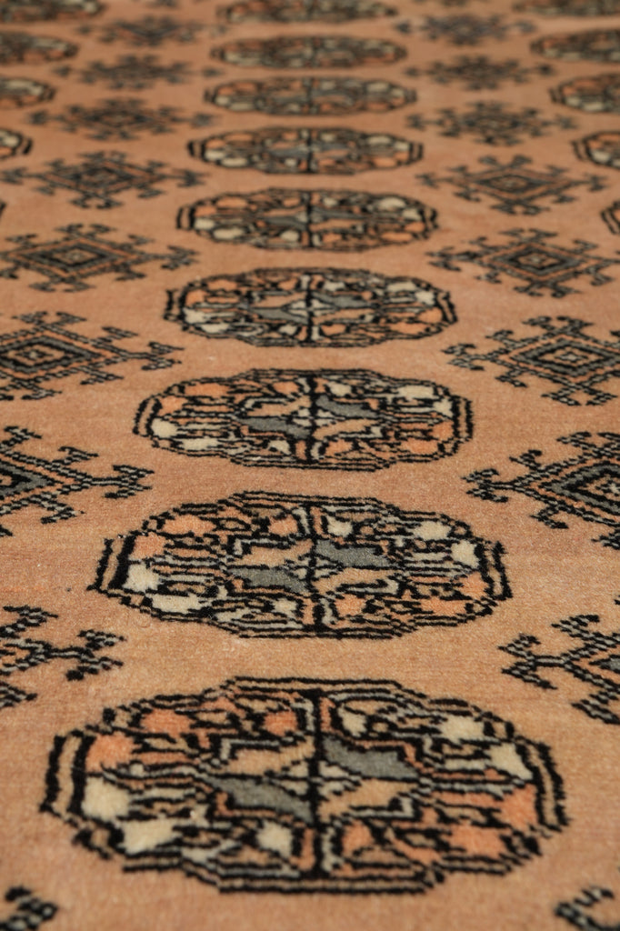 10 x 14 Bokhara Rug Handmade Pakistan Fine Wool #PIX-48947