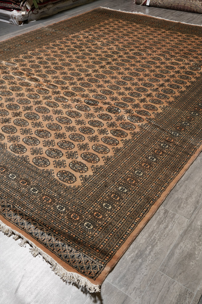 10 x 14 Bokhara Rug Handmade Pakistan Fine Wool #PIX-48947