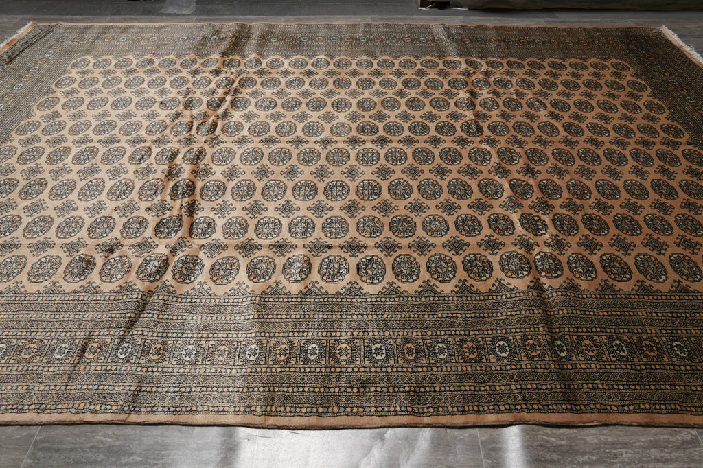 10 x 14 Bokhara Rug Handmade Pakistan Fine Wool #PIX-48947