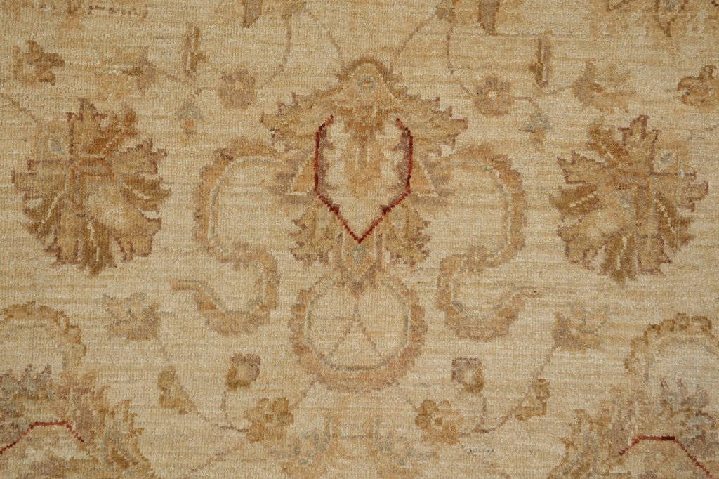 6.3 x 9.9 Pleasant Handmade New Rug #PIX-20234