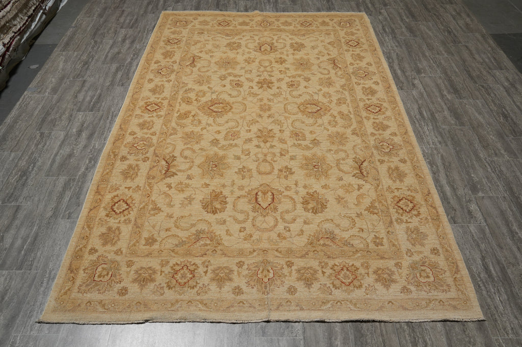 6.3 x 9.9 Pleasant Handmade New Rug #PIX-20234