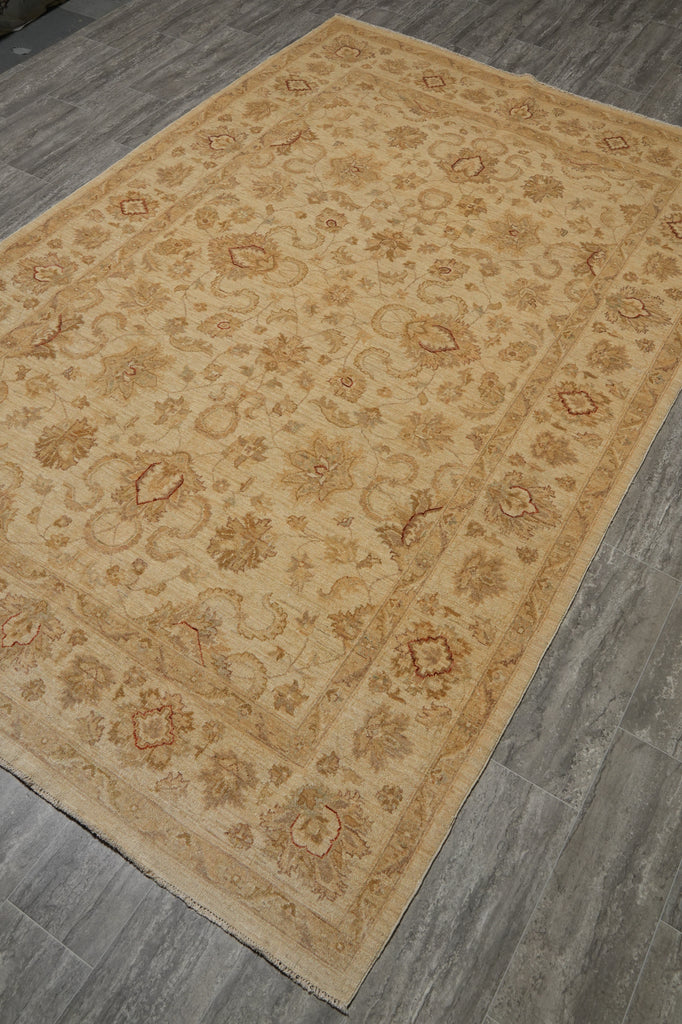 6.3 x 9.9 Pleasant Handmade New Rug #PIX-20234