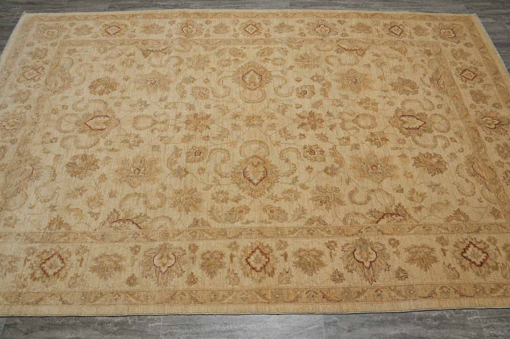6.3 x 9.9 Pleasant Handmade New Rug #PIX-20234