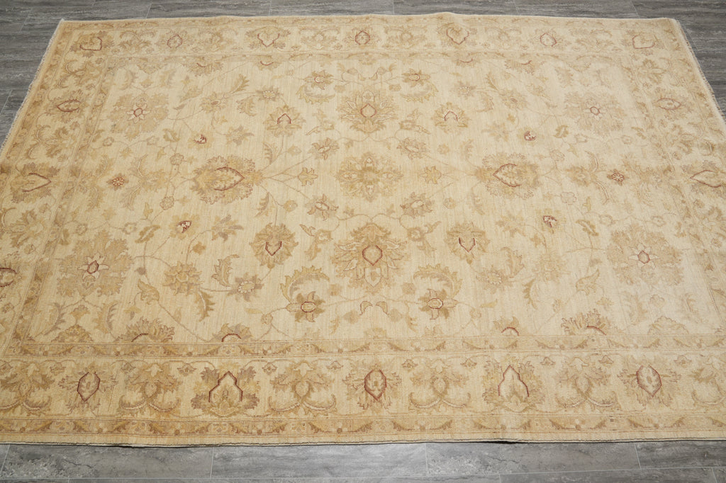 6.6 x 9.9 WARM COLORS Handmade Transitional Chobi Ziegler Peshawar Rug #PIX-20235