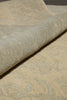 Load image into Gallery viewer, 6.6 x 9.7 Beautiful Transitional Ghazni Wool Ziglar Rug #F-6638