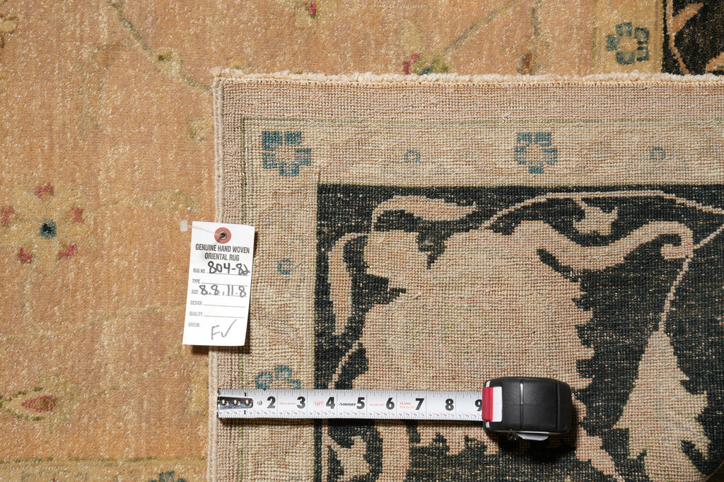 8.8 x 11.8 Beautiful Quality Handmade Agra Rug Transitional Tan & Black #PIX-804-82