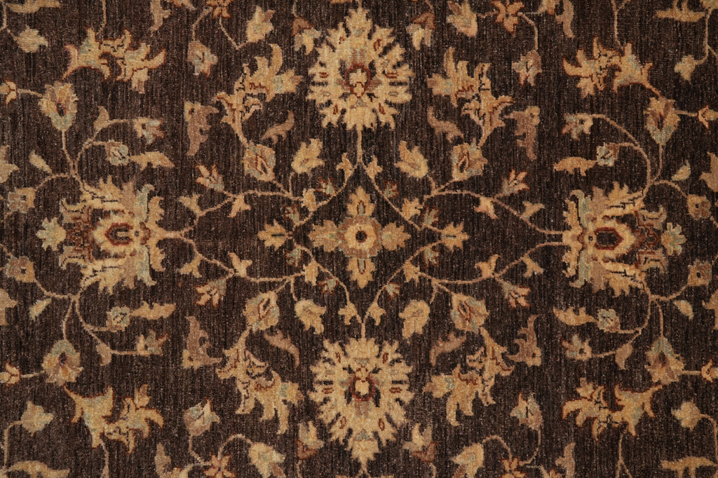 6 x 8.3 DARK BROWN Transitional Chobi Peshwar Hand-Knotted Rug - Pakistan #PIX-21419