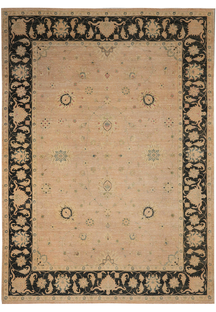 8.8 x 11.8 Beautiful Quality Handmade Agra Rug Transitional Tan & Black #PIX-804-82