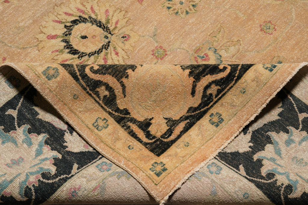 8.8 x 11.8 Beautiful Quality Handmade Agra Rug Transitional Tan & Black #PIX-804-82