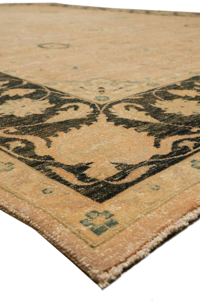 8.8 x 11.8 Beautiful Quality Handmade Agra Rug Transitional Tan & Black #PIX-804-82