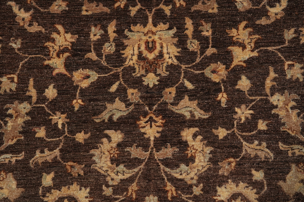 6 x 8.3 DARK BROWN Transitional Chobi Peshwar Hand-Knotted Rug - Pakistan #PIX-21419
