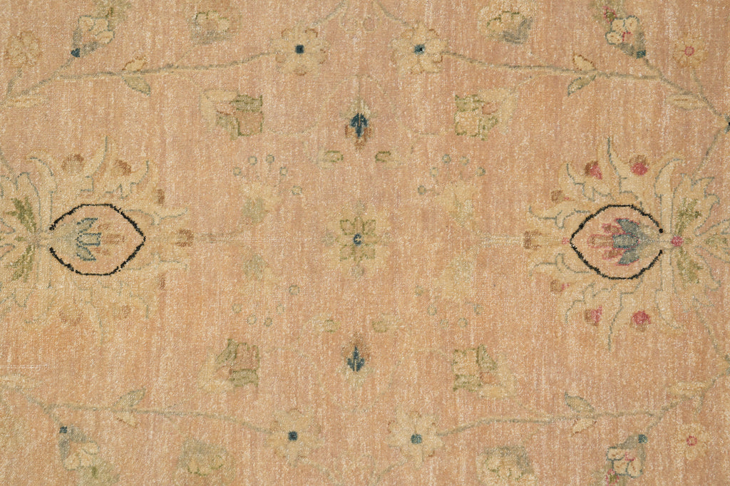 8.8 x 11.8 Beautiful Quality Handmade Agra Rug Transitional Tan & Black #PIX-804-82