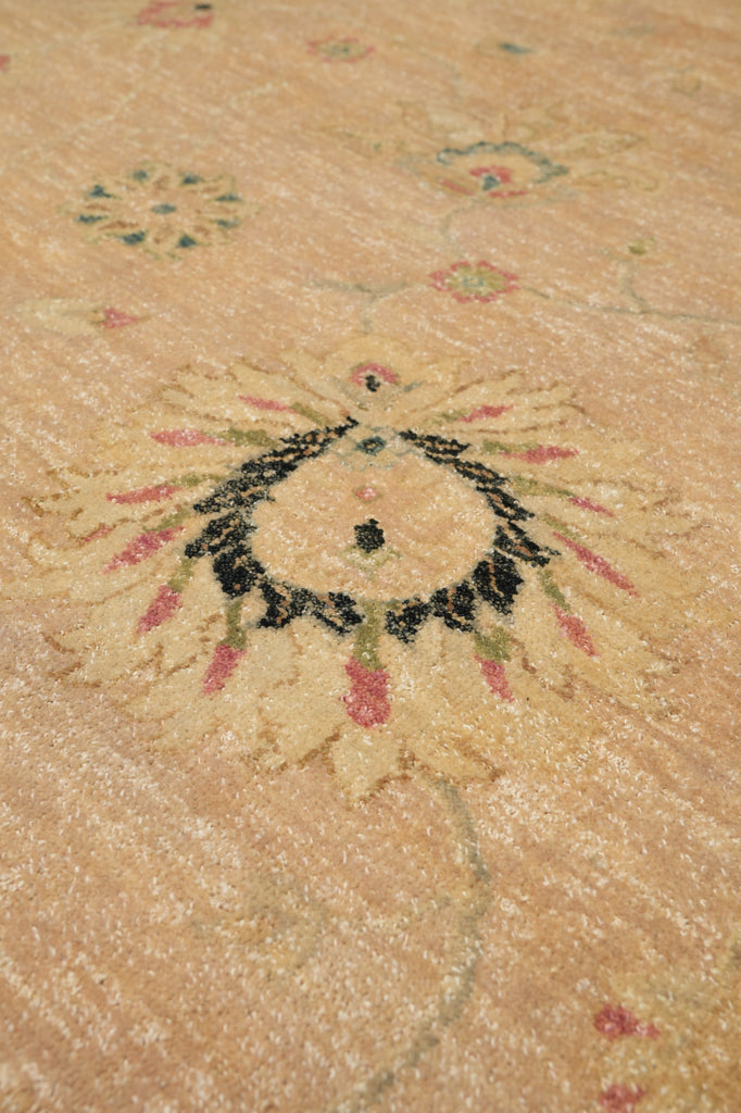 8.8 x 11.8 Beautiful Quality Handmade Agra Rug Transitional Tan & Black #PIX-804-82