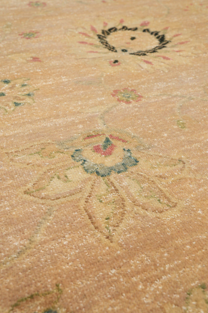 8.8 x 11.8 Beautiful Quality Handmade Agra Rug Transitional Tan & Black #PIX-804-82