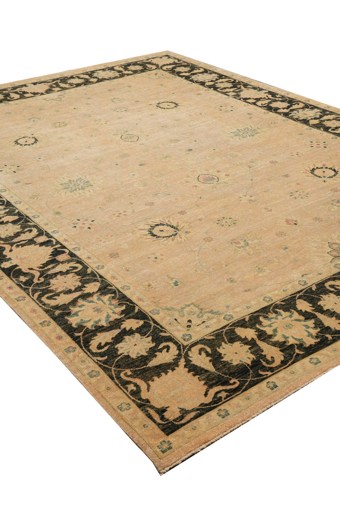 8.8 x 11.8 Beautiful Quality Handmade Agra Rug Transitional Tan & Black #PIX-804-82